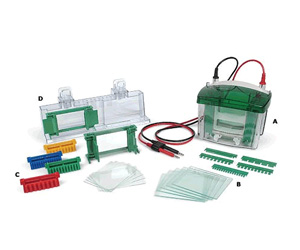 Bio-rad Trans-Blot Cell伯樂(lè)Trans-Blot 轉(zhuǎn)印槽 170-3939
