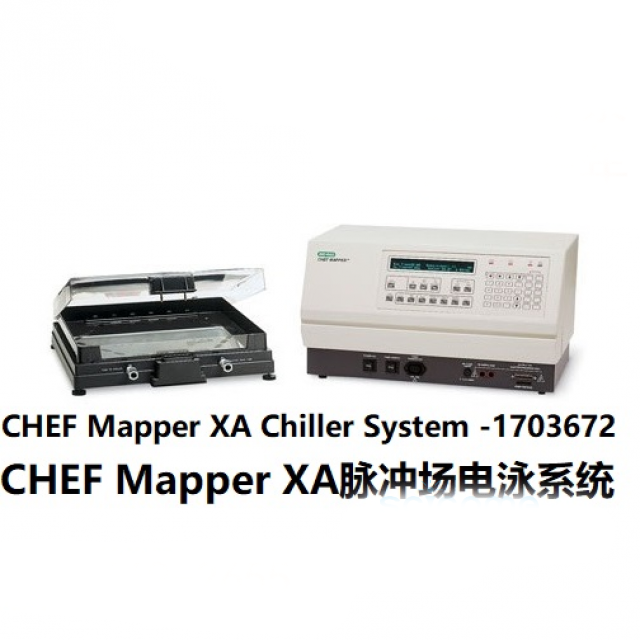 脈沖場(chǎng)電泳XA系統(tǒng)