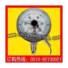 電接點(diǎn)雙金屬溫度計系列