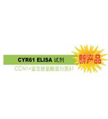 CYR61 是診斷 / 判斷乳腺癌惡化的腫瘤標志物。
