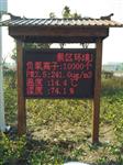 生態(tài)園林負(fù)氧離子濃度顯示大屏幕，負(fù)氧離子觀測站檢測儀器