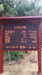 內(nèi)蒙古負氧離子測報系統(tǒng)，負氧離子檢測儀，安裝簡單，質(zhì)保一年