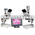 供應(yīng)云飛XTZ解剖鏡及成像設(shè)備，解剖鏡及成像設(shè)備廠家