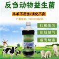 養(yǎng)鴨場(chǎng)臭氣處理方案操作簡(jiǎn)單可行