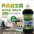 養(yǎng)鴿子飲水拌料用的飲水保健液大家都選哪種